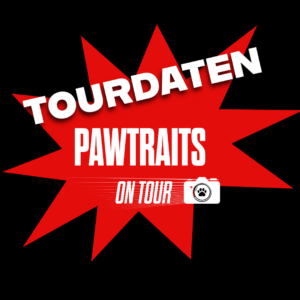 Pawtraits Snapshot Tourdaten. Hier findest du den Zugang zu meinen Terminen und kannst direkt dein Shooting mit deinem Hund buchen.